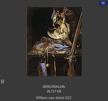 【荷兰】威廉·范·阿里斯特（Willem van Aelst）