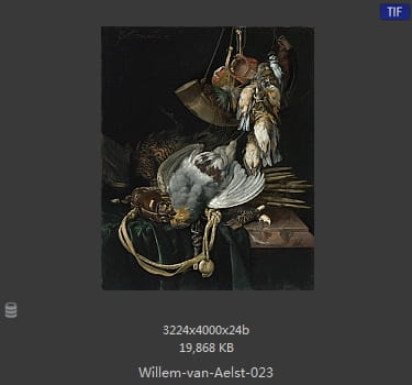【荷兰】威廉·范·阿里斯特（Willem van Aelst）