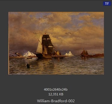威廉·布雷德福 William Bradford