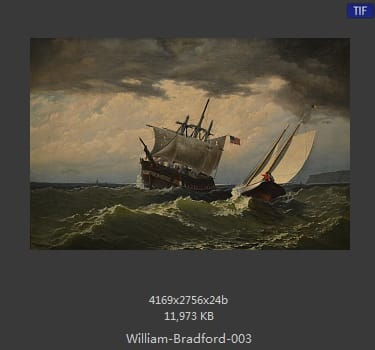 威廉·布雷德福 William Bradford