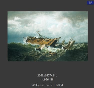 威廉·布雷德福 William Bradford