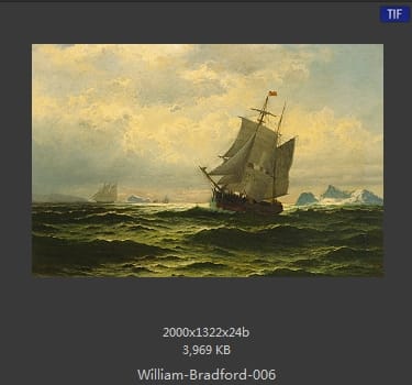 威廉·布雷德福 William Bradford