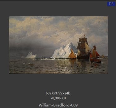 威廉·布雷德福 William Bradford