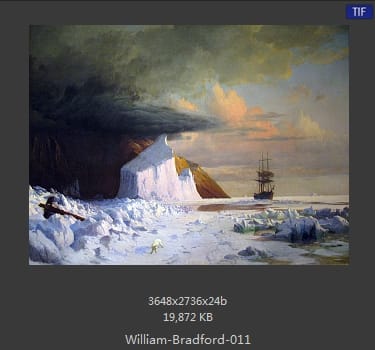 威廉·布雷德福 William Bradford