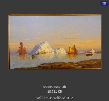 威廉·布雷德福 William Bradford