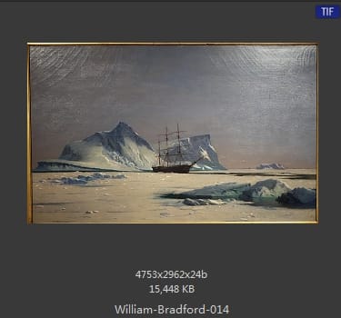 威廉·布雷德福 William Bradford