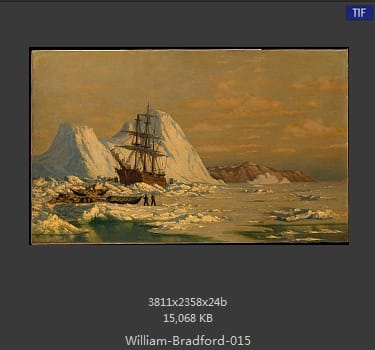 威廉·布雷德福 William Bradford