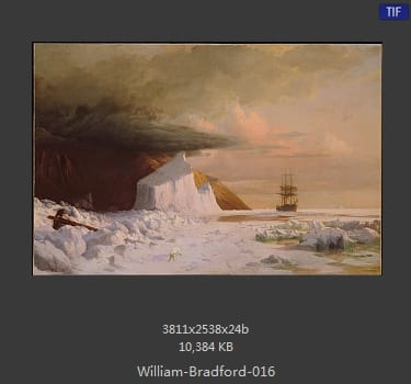 威廉·布雷德福 William Bradford