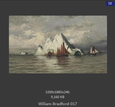 威廉·布雷德福 William Bradford