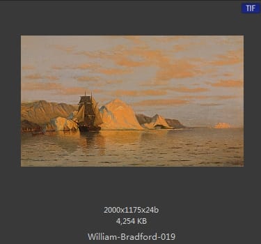 威廉·布雷德福 William Bradford