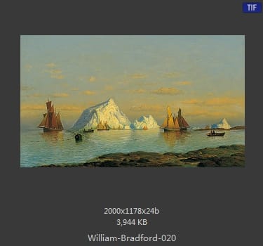 威廉·布雷德福 William Bradford