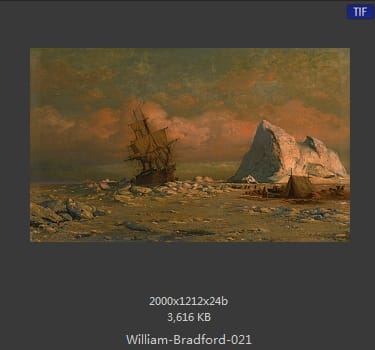 威廉·布雷德福 William Bradford