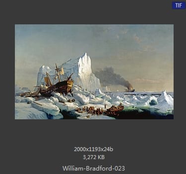 威廉·布雷德福 William Bradford