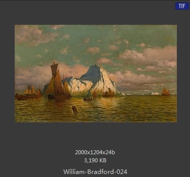 威廉·布雷德福 William Bradford
