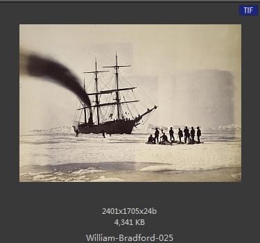 威廉·布雷德福 William Bradford