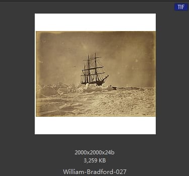 威廉·布雷德福 William Bradford