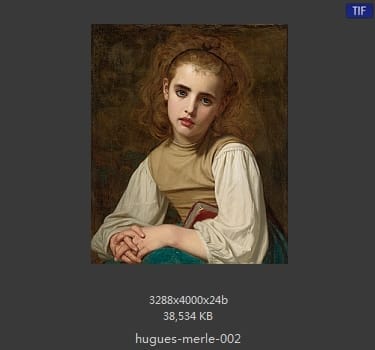 【法国】雨果·摩尔（Hugues Merle）