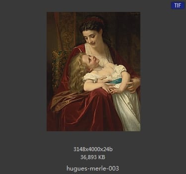【法国】雨果·摩尔（Hugues Merle）