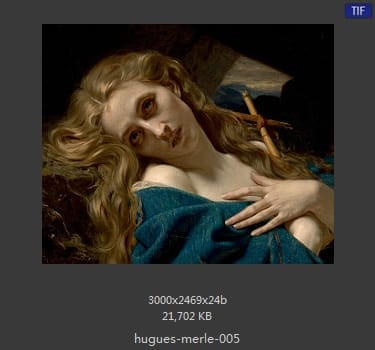 【法国】雨果·摩尔（Hugues Merle）