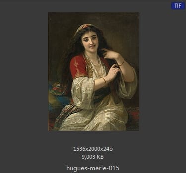【法国】雨果·摩尔（Hugues Merle）