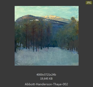 雅培·翰德逊·泰勒（Abbott Handerson Thayer）