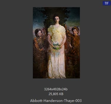 雅培·翰德逊·泰勒（Abbott Handerson Thayer）
