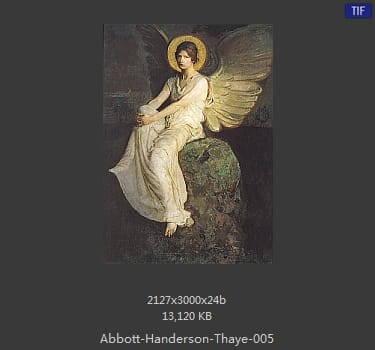 雅培·翰德逊·泰勒（Abbott Handerson Thayer）