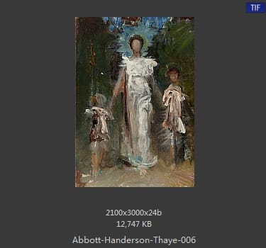 雅培·翰德逊·泰勒（Abbott Handerson Thayer）