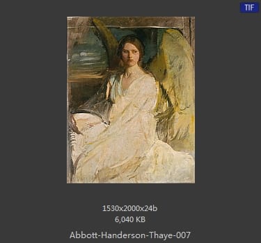 雅培·翰德逊·泰勒（Abbott Handerson Thayer）