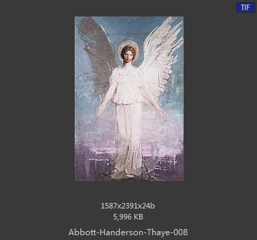 雅培·翰德逊·泰勒（Abbott Handerson Thayer）