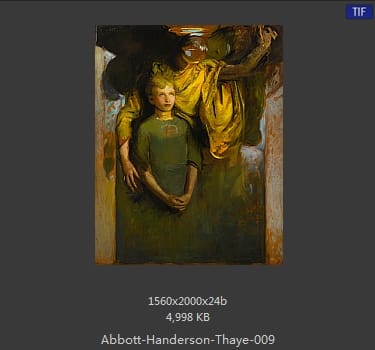 雅培·翰德逊·泰勒（Abbott Handerson Thayer）