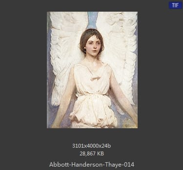 雅培·翰德逊·泰勒（Abbott Handerson Thayer）