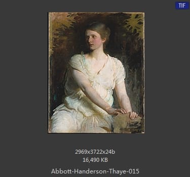 雅培·翰德逊·泰勒（Abbott Handerson Thayer）