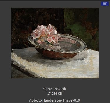 雅培·翰德逊·泰勒（Abbott Handerson Thayer）