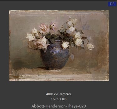 雅培·翰德逊·泰勒（Abbott Handerson Thayer）