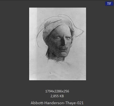 雅培·翰德逊·泰勒（Abbott Handerson Thayer）