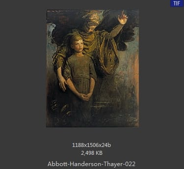雅培·翰德逊·泰勒（Abbott Handerson Thayer）