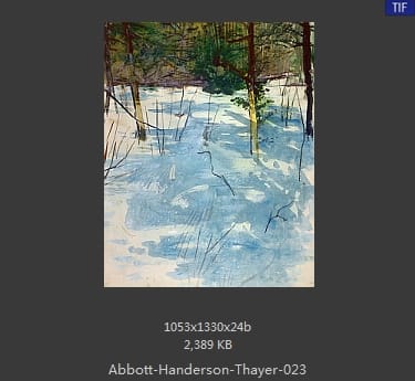 雅培·翰德逊·泰勒（Abbott Handerson Thayer）
