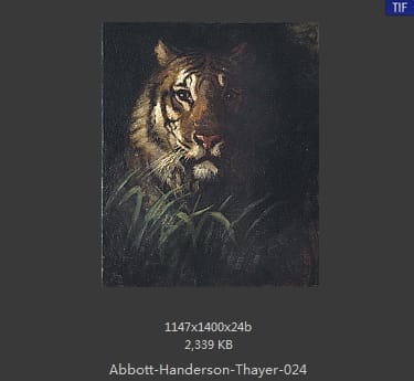 雅培·翰德逊·泰勒（Abbott Handerson Thayer）