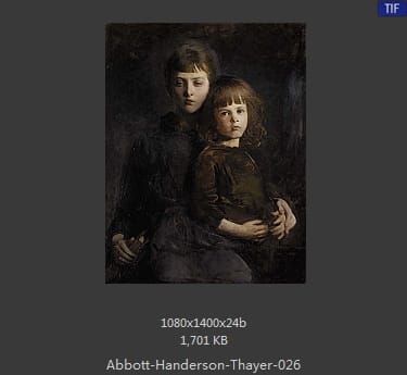 雅培·翰德逊·泰勒（Abbott Handerson Thayer）