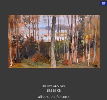 阿尔伯特·埃德费尔特(Albert Edelfelt) 