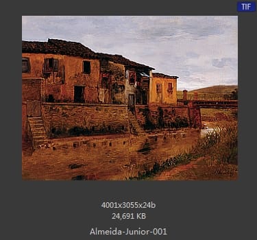阿尔梅达·茹尼奥尔(Jose Ferraz de Almeida Junior)