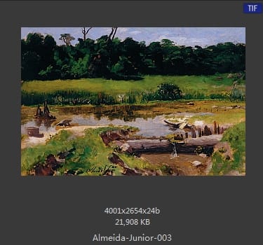 阿尔梅达·茹尼奥尔(Jose Ferraz de Almeida Junior)