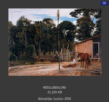 阿尔梅达·茹尼奥尔(Jose Ferraz de Almeida Junior)