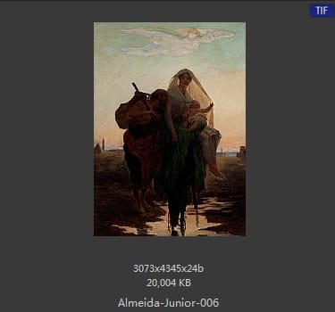 阿尔梅达·茹尼奥尔(Jose Ferraz de Almeida Junior)