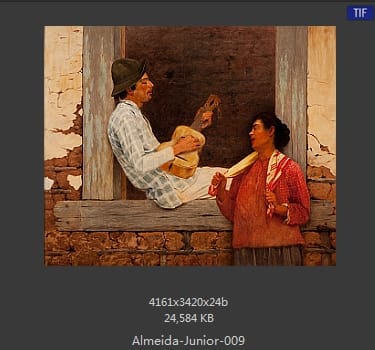 阿尔梅达·茹尼奥尔(Jose Ferraz de Almeida Junior)