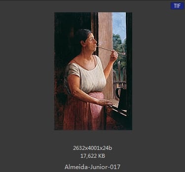 阿尔梅达·茹尼奥尔(Jose Ferraz de Almeida Junior)
