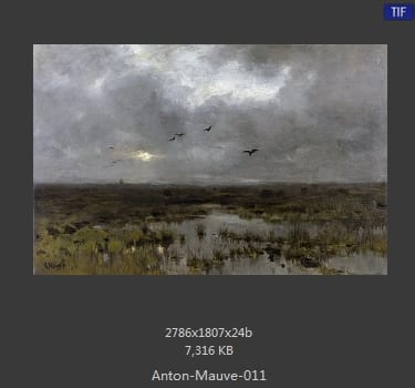 安东·莫夫 Anton Mauve