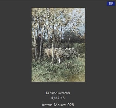 安东·莫夫 Anton Mauve
