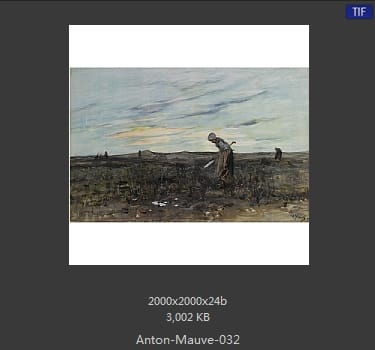 安东·莫夫 Anton Mauve
